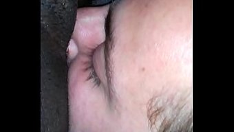 Beyaz Bir Kişi, Siyah Bir Kadının Traşlı Amını Yemekten Keyif Alıyor