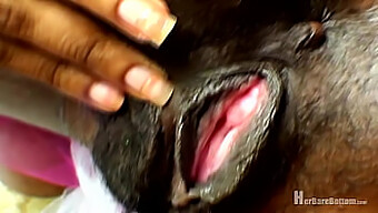 Tandra'Nın Duygusal Poposu Yayılarak Masaj Yapıyor