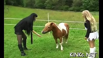 Femdom Porno Içinde Yoğun Sikiş Ve Fisting