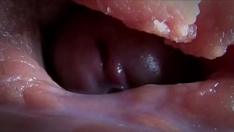 Kirli Creampie Koleksiyonu