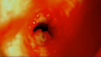 Derinlere Ve Islak Yerlere Giden Yol, Yoğun Bir Tutkuyla Fışkırıyor.