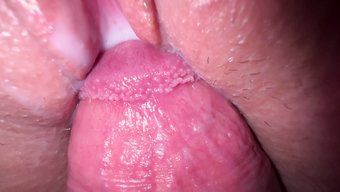 Avrupalı Genç Ev Yapımı Bir Videoda Amını Spermlerle Dolduruyor