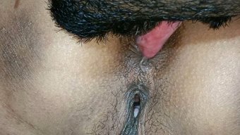 Riya'Nın Sıkı Amı Ve Kıçı Sıcak Bir Hint Videosunda Yalatılıyor