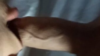 Latin Kadın Acımasız Oral Seks Yapıyor Ve Yalnız Sikişiyor