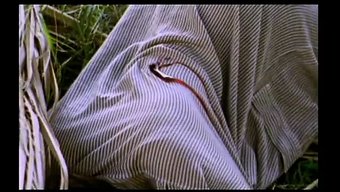 Vintage Güzellik, Duygusal Arzularını Keşfediyor