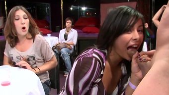 Irklararası Parti: Dans Eden Ayı, Vahşi Gösteri Ve Oral Seks Becerileriyle Eğleniyor