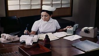 Aranan Marlene Willoughby Ve Jennifer Welles Ile Vintage Gator Yolculuğu