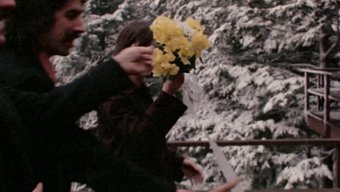 Vintage Gators: Klasik Bir Koleksiyon