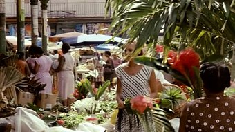 Vintage Orlando: Gatorsclassics'In En Iyisi Cilt 9