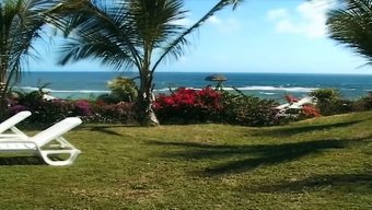 Eski Hazine: Titof Ve Bagheera Eylemde