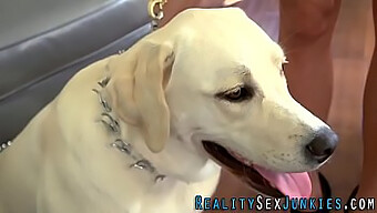 Gerçek Porno Yıldızı Iç Çamaşırıyla Sert Seks Yapıyor