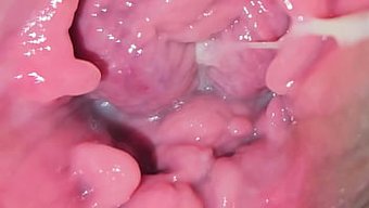 Miss Latin Rain, Dolgun Kıvrımları Ve Hassas Klitorisiyle Tek Başına Oyunun Tadını Çıkarıyor